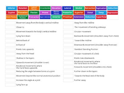 Anatomical Language and Terminology