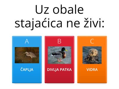 VODE TEKUĆICE I STAJAĆICE