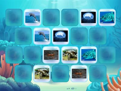  Морські мешканці