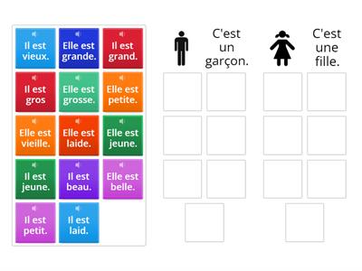  La description physique: masculin ou féminin