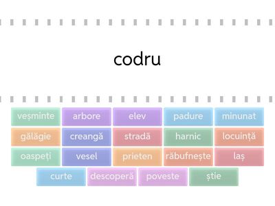 Cuvinte cu sens asemanator 1 - cls 2