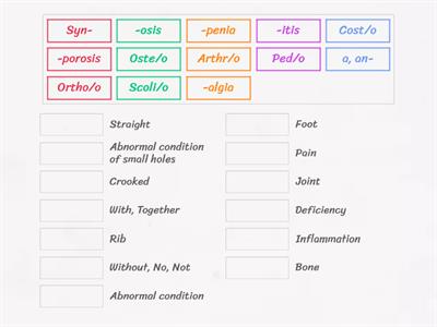 Skeletal System - Review 