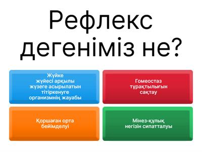 «Жабайылар» порно фильмін қараңыз