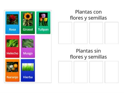 PLANTAS, FLORES Y SEMILLAS 