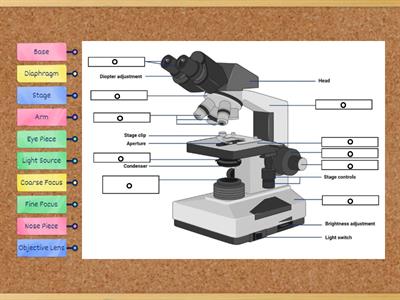 Parts of a Microscope
