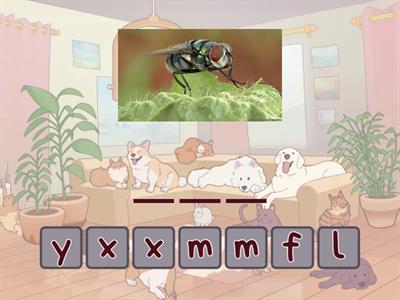 Speakout A2+ Unit 2A