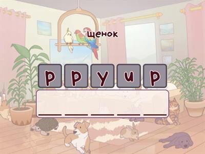 Words ending in Y Anagram