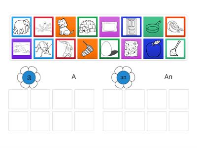 Group the words A/ an 