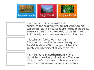 Types of forests