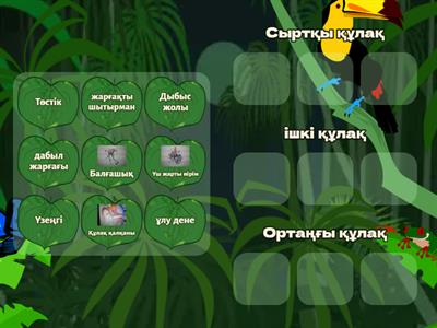 Секс роботы бар қыз