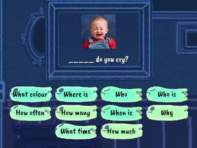 What Who Where Why When