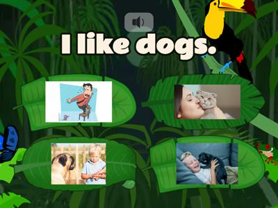 I like/I don't like + animals