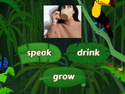  A1 Review Irregular Verb list 1