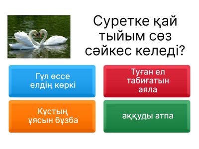 Тыйым сөздер 