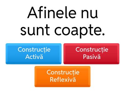 Construcții active, pasive, reflexive.