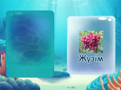 Қазақ тілі 2 сынып