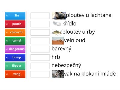 3.třída, fraus, lekce 20