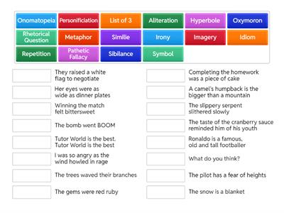 Literacy Devices Y4