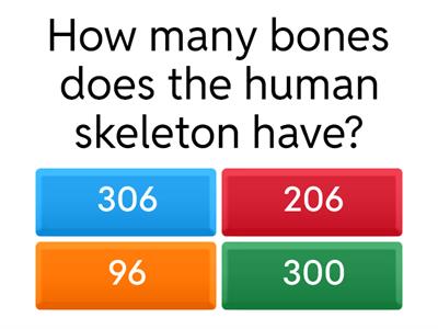 Skeleton quiz
