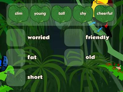 antonyms