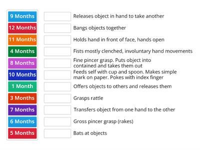 INFANT - Fine Motor Skills 