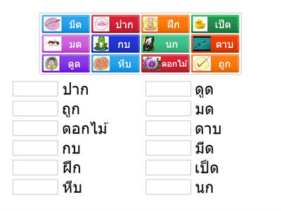 K2จับคู่คำกับภาพในมาตราตัวสะกด แม่กก แม่กด แม่กบ ให้ถูกต้อง