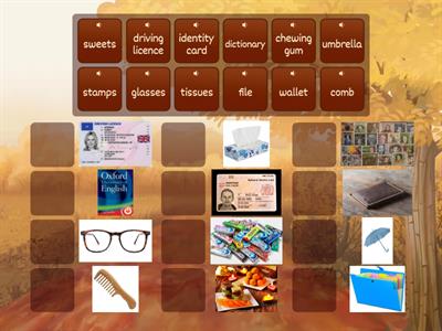 Speakout Elementary 1.2 everyday objects (1)