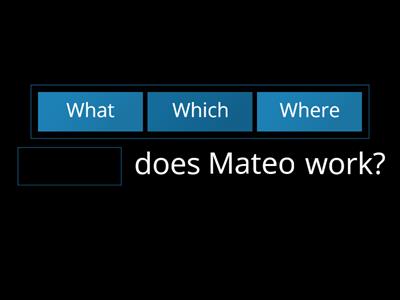 Choose the WH- question word