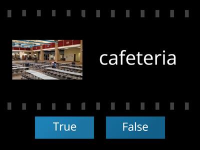 4 syllable true false