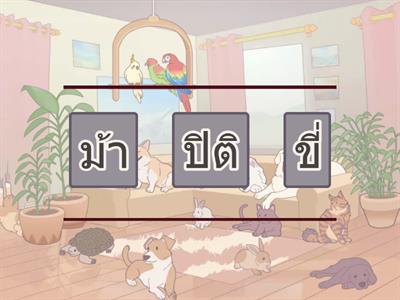 มานี 1.11 เรียงประโยคให้ถูก