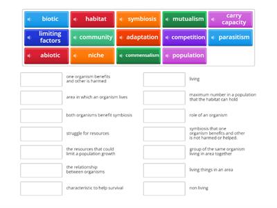 Eco vocab