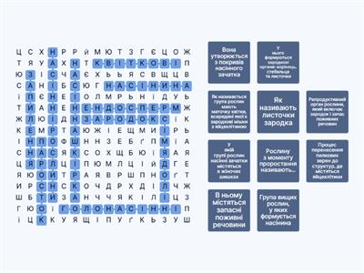 Насінні рослини