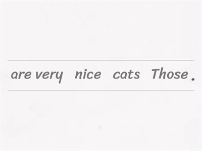 A/an this/that/these/those revision