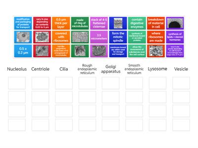 New organelles AAQ Human Biology