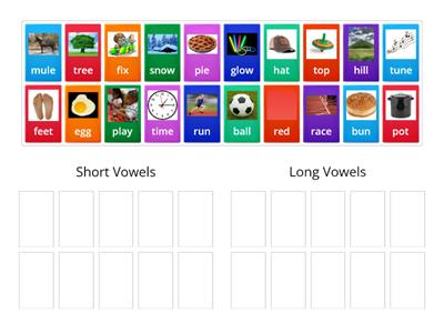 Short Vowel or Long Vowel? 