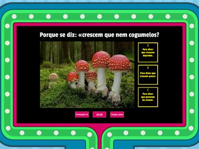 Quiz dos Porquês 1