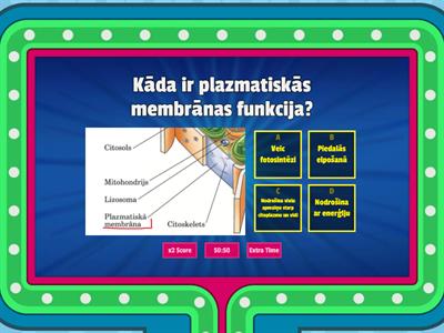 Redzi, Zini, Izzini: Auga Šūnas uzbūve