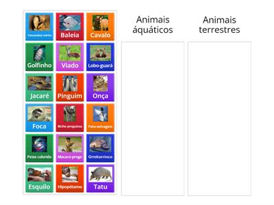  Animais águaticos X Animais terrestre