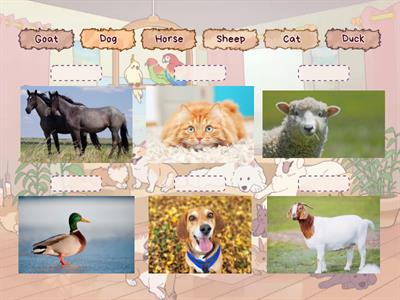 PU smart start unit 9