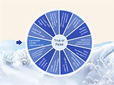 Metric Measurement - True or False Discussion Wheel