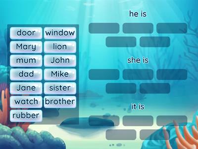 personal pronoun
