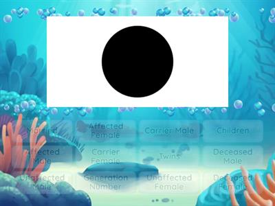 Pedigree Symbol Practice