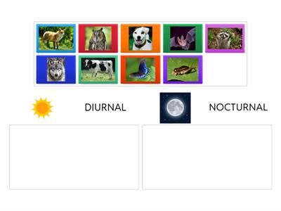 Diurnal and Nocturnal Animals