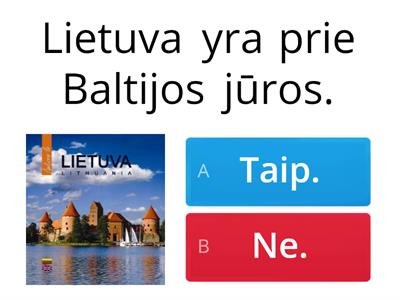 Tiesa ar melas apie Lietuvą