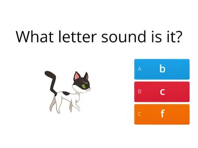 Phonics Quiz