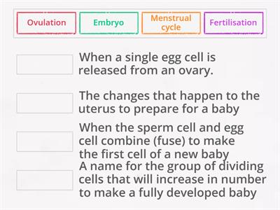 Y7 Menstrual cycle - basics