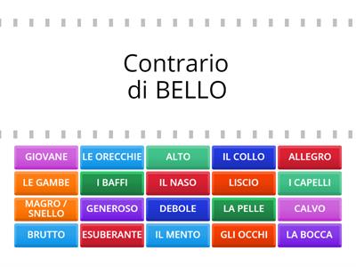 Descrizione fisica e morale