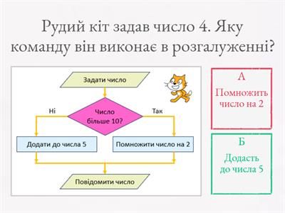 Розгалуження / 5 клас