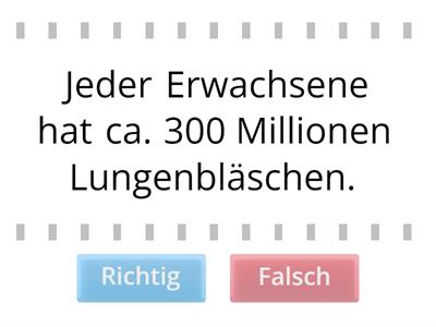 6) Wahr oder falsch?