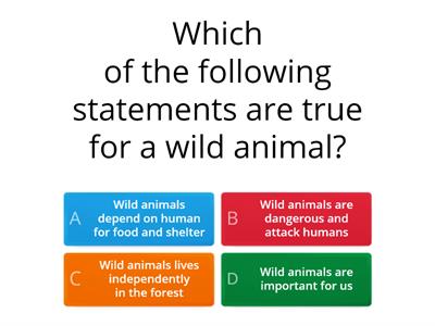 Animal Quiz